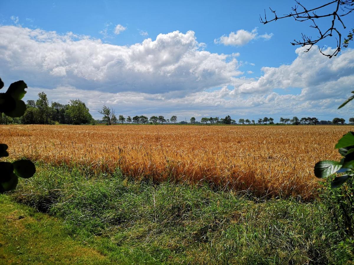 Landhaus Kaisershof - Ferienwohnungen Auf Dem Land Schillig Exteriör bild